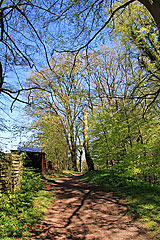 Weg ins Haraldsdal