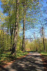 Østergade