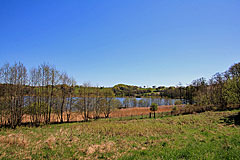 Niehuussee