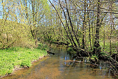 Krusau