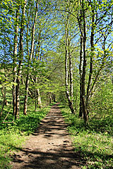 An der Krusau