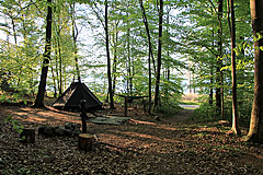 Kollund Skov Teltplads