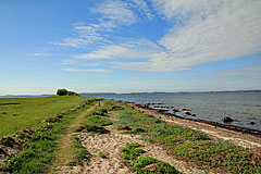 Ufer bei Brunsnæs