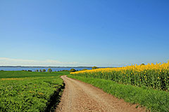 Feldweg bei Gammelgab