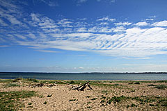 Kragesand