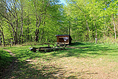 Shelter im Skelde Kobbelskov