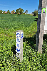 Wegweiser